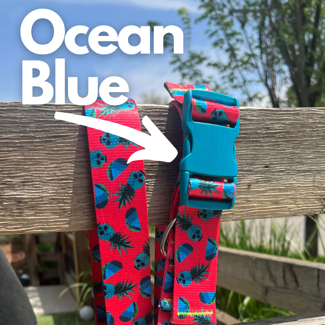 1.5" Double Adjust Heavy Duty Buckles No Sewing Required Pack of 6